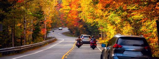 Most Steps in the Car-Buying Process Improved in October